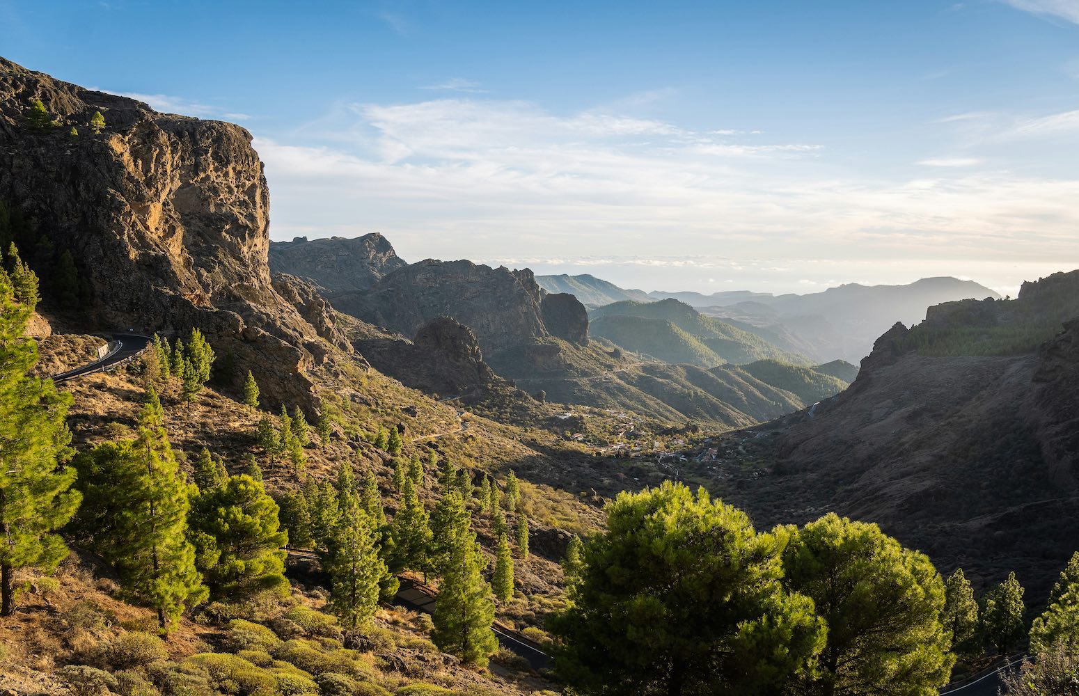 Gran Canarias